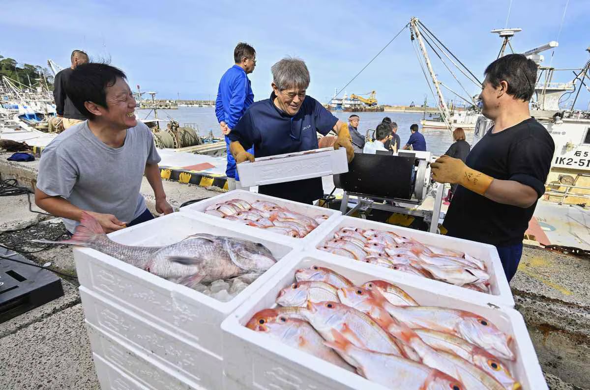 Wajima Port ships fish for the first time since the New Year's earthquake