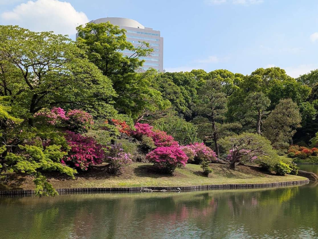 gasa-135-rikugien-azalea-