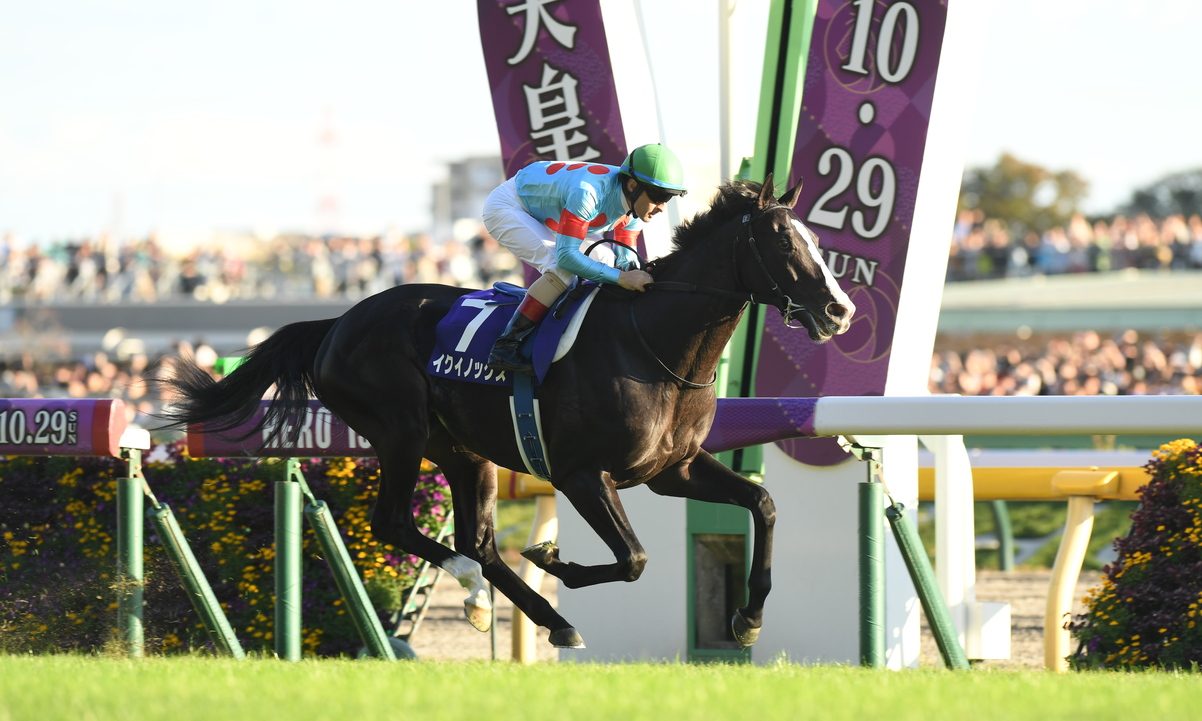 競馬　EPOCH HORSE RACING スペシャルウィーク AP25138017049209_55b3ae.jpg?w=