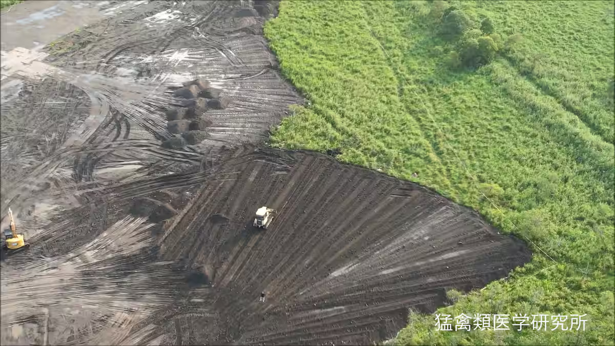 森の伐採がエコなのか」釧路湿原のメガソーラー開発に危機感 登山家