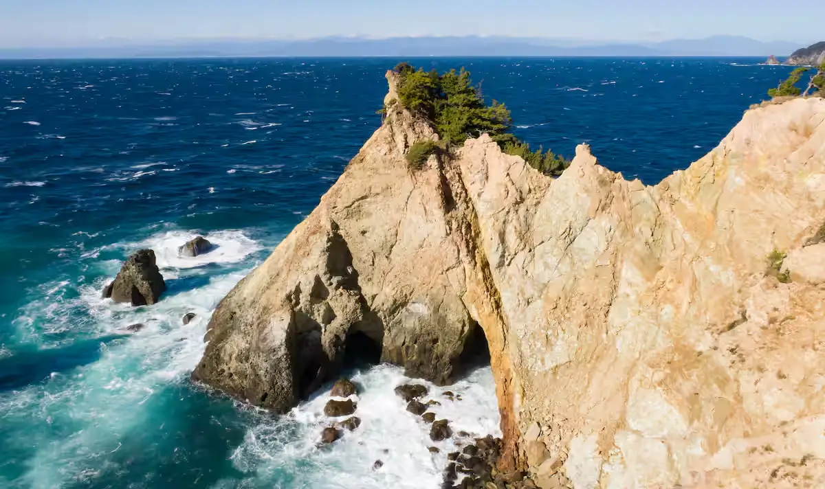 新年「馬ロック」に願掛け 万馬券的中…展望台には競馬ファンの絵馬