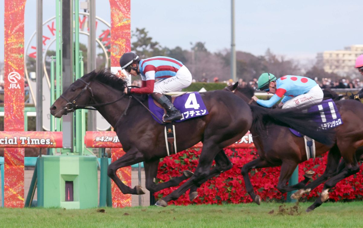 Hopeful Stakes: Lovcen Triumphs in His 2nd Career Start | JAPAN