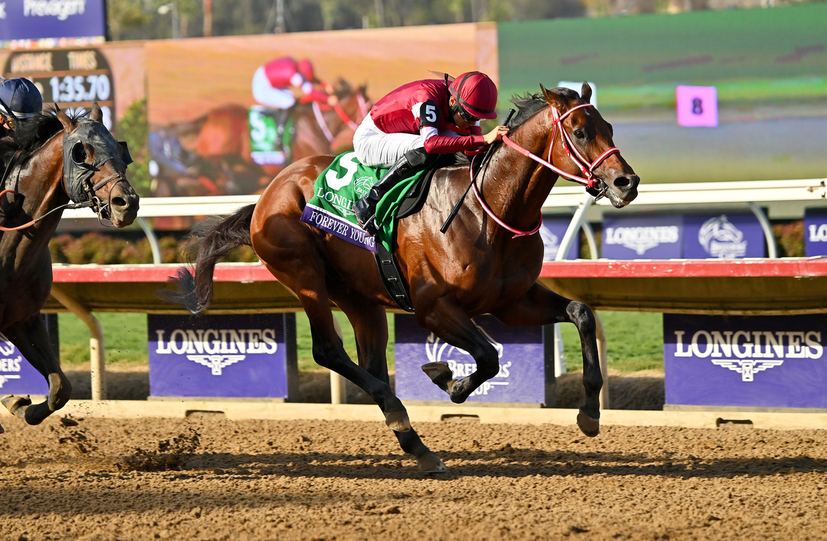 Forever Young Named JRA's 2025 Horse of the Year | JAPAN Forward